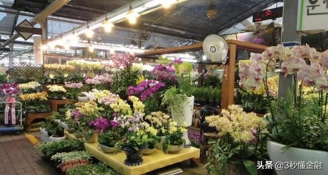 在苏州开一家花店,大概需要多少钱啊,怎么做?