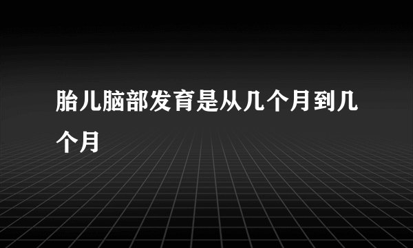 胎儿脑部发育是从几个月到几个月