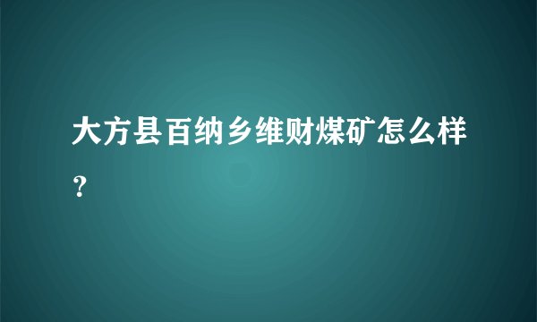 大方县百纳乡维财煤矿怎么样?