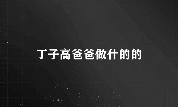 丁子高爸爸做什的的