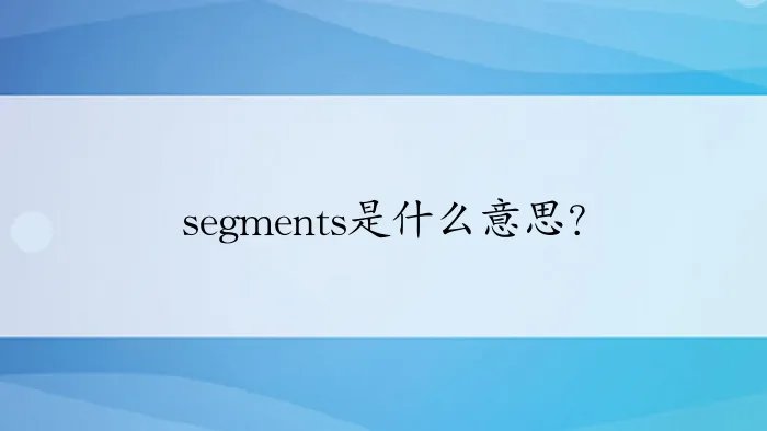 segments是什么意思?