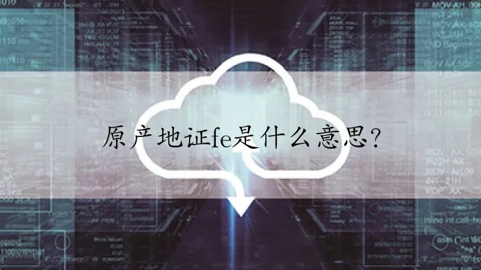 原产地证fe是什么意思？