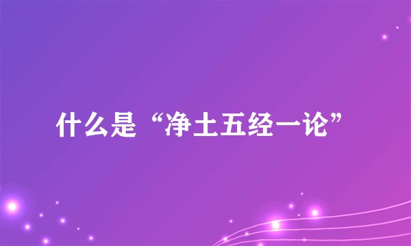 什么是“净土五经一论”
