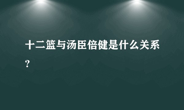 十二篮与汤臣倍健是什么关系？