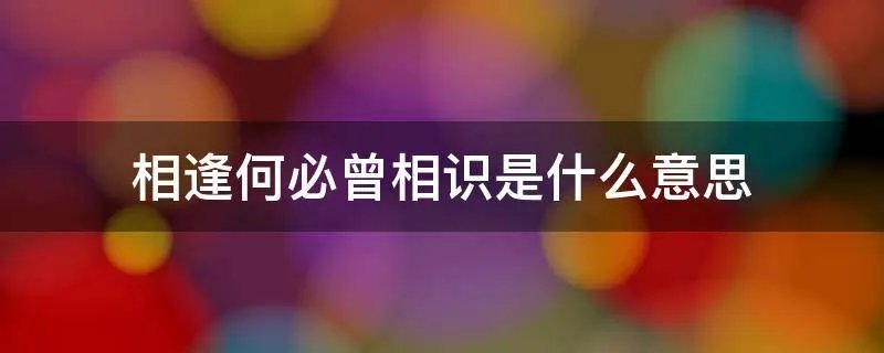 相逢何必曾相识是什么意思