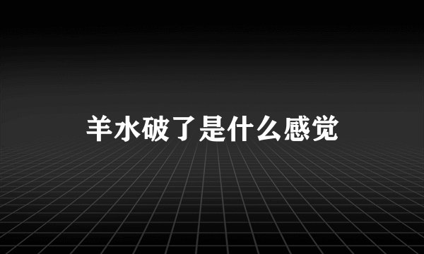 羊水破了是什么感觉