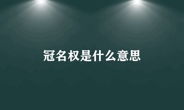 冠名权是什么意思