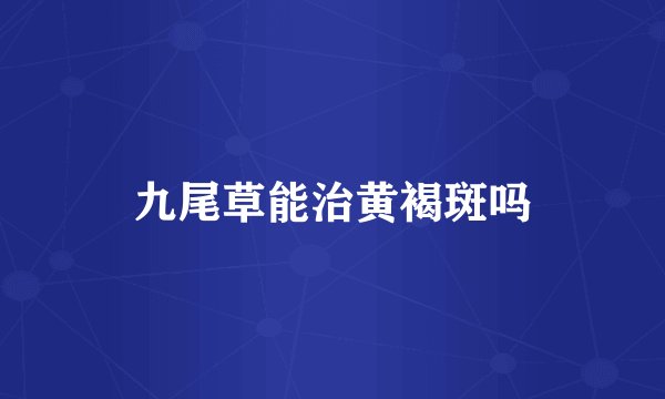 九尾草能治黄褐斑吗