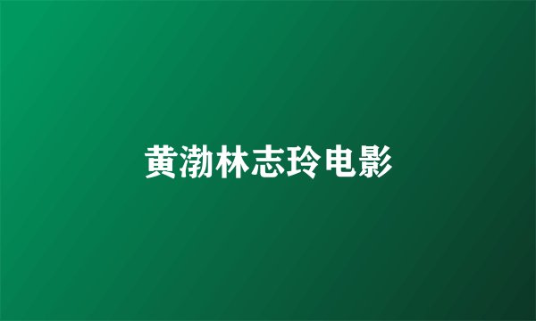 黄渤林志玲电影