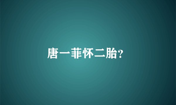 唐一菲怀二胎？
