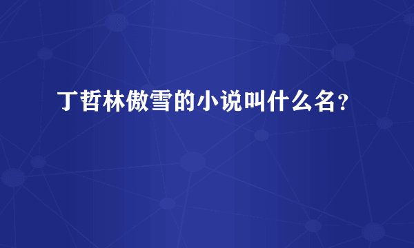 丁哲林傲雪的小说叫什么名？