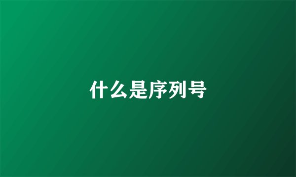 什么是序列号