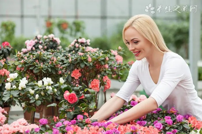 带宝宝拍百天照的注意事项