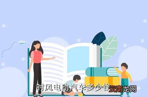 时风电动汽车价格,时风电动汽车多少钱