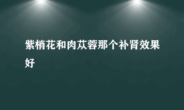 紫梢花和肉苁蓉那个补肾效果好