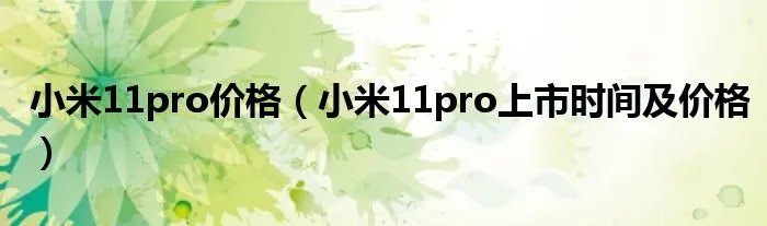 小米11pro价格(小米11pro上市时间及价格)