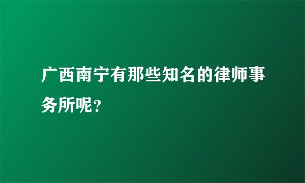 广西南宁有那些知名的律师事务所呢？