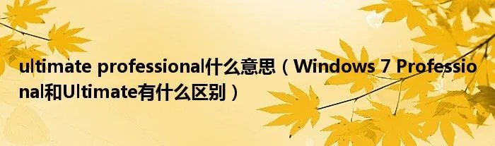 ultimate professional什么意思（Windows 7 Professional和Ultimate有什么区别）