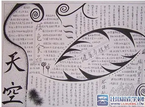 环保小卫士手抄报小学生