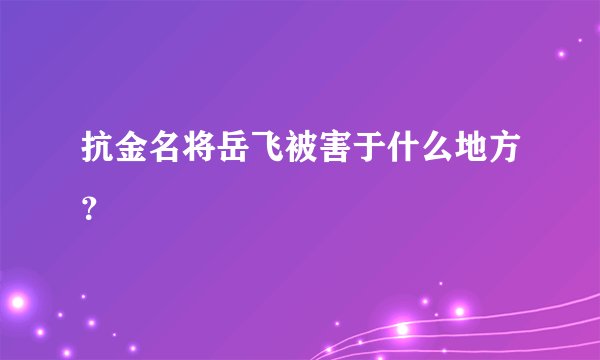 抗金名将岳飞被害于什么地方？