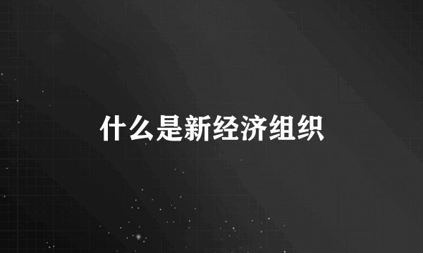 什么是新经济组织