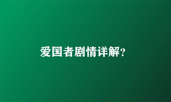 爱国者剧情详解？