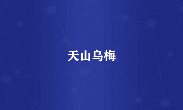 天山乌梅