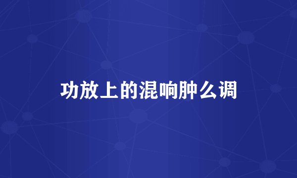 功放上的混响肿么调