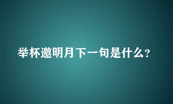 举杯邀明月下一句是什么？