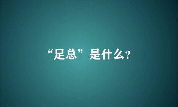 “足总”是什么？