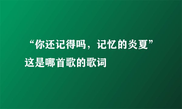 “你还记得吗，记忆的炎夏”这是哪首歌的歌词
