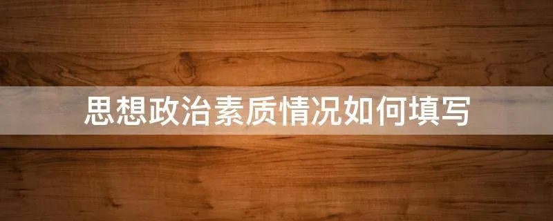 思想政治素质情况如何填写