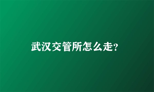 武汉交管所怎么走？