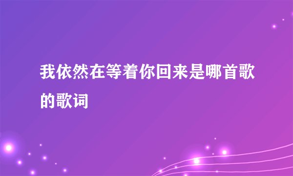 我依然在等着你回来是哪首歌的歌词