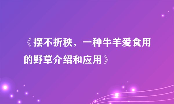 《摆不折秧，一种牛羊爱食用的野草介绍和应用》