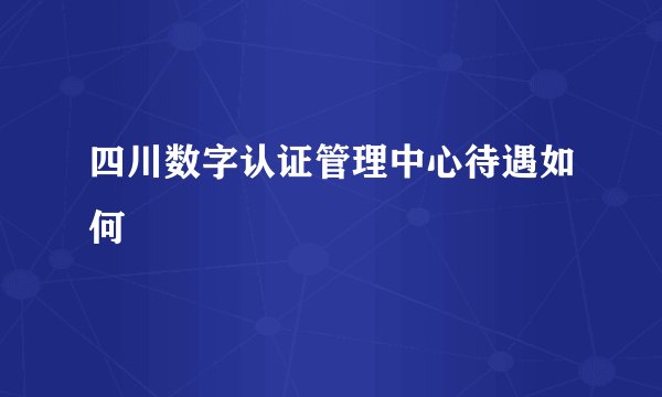 四川数字认证管理中心待遇如何