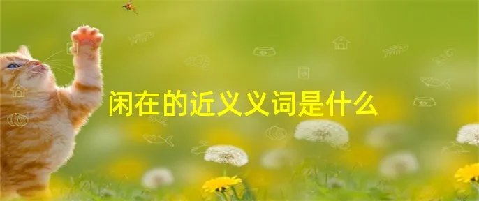 闲在的近义义词是什么