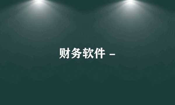 财务软件 -