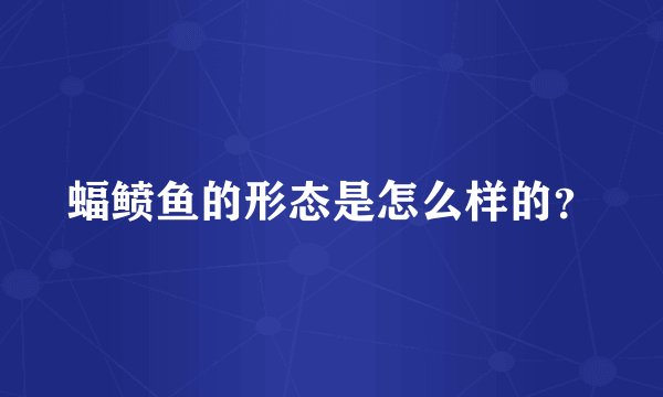 蝠鲼鱼的形态是怎么样的？