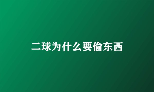 二球为什么要偷东西