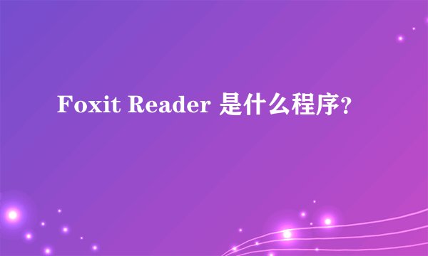 Foxit Reader 是什么程序?