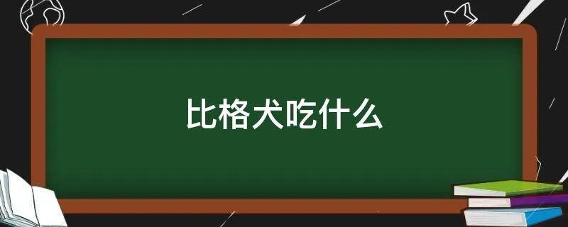 比格犬吃什么