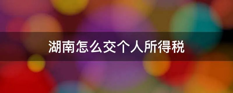 湖南怎么交个人所得税
