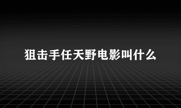 狙击手任天野电影叫什么