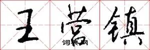 王营镇