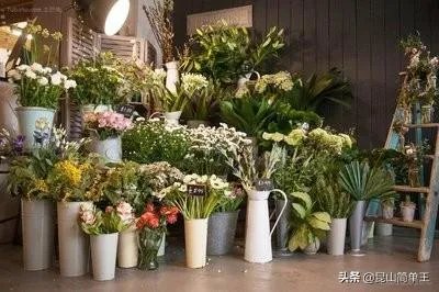 在苏州开一家花店，大概需要多少钱啊，怎么做？