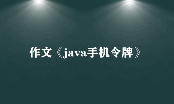 作文《java手机令牌》