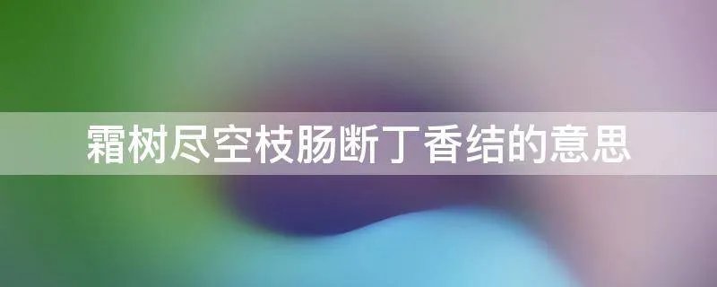霜树尽空枝肠断丁香结的意思