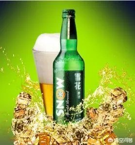 青岛啤酒和雪花啤酒哪个好?为什么?