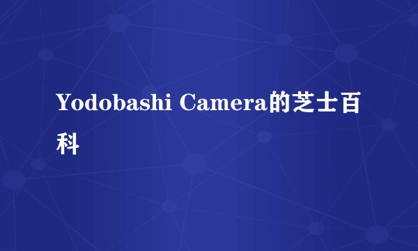 Yodobashi Camera的芝士百科